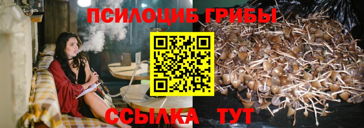 Старая Купавна  Галлюциногенные грибы Magic Shrooms  Вход с VPN 