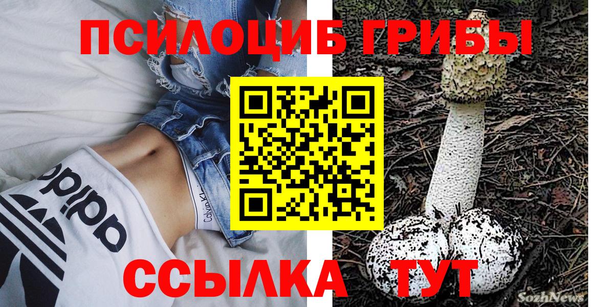 Галлюциногенные грибы Psilocybe Старая Купавна